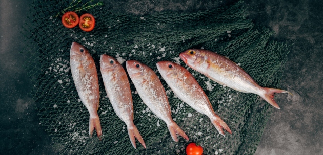 Uvođenje ribe u dohranu uz nekoliko recepata