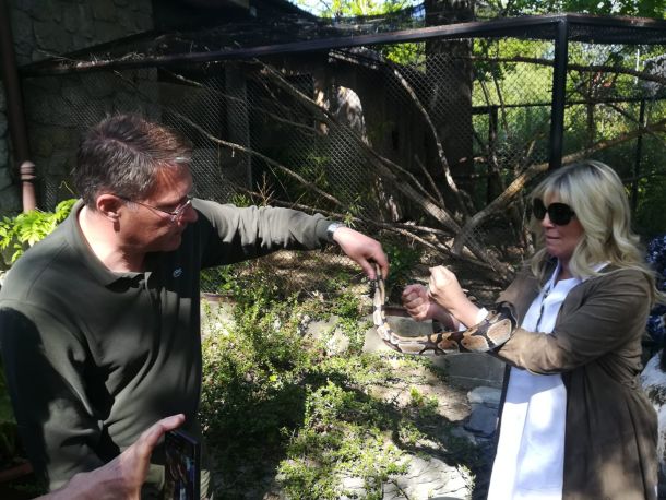 ljiljana vinković damir skok