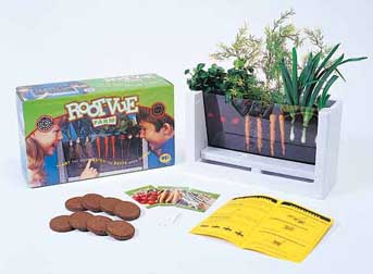 Root vue