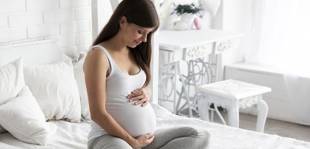 trudnoca trudnica porodilja