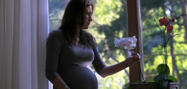 Bolna leđa u trudnoći – vrijeme je za promjenu svakodnevnih aktivnosti