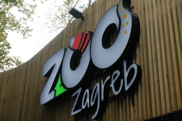 zg-zoo-1