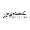 20-zdjelarevic