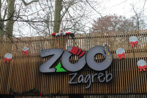 advent-zoo-2