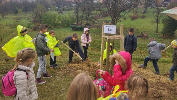 aleja-jastrebarsko-1