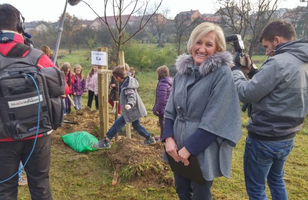 aleja-jastrebarsko-2