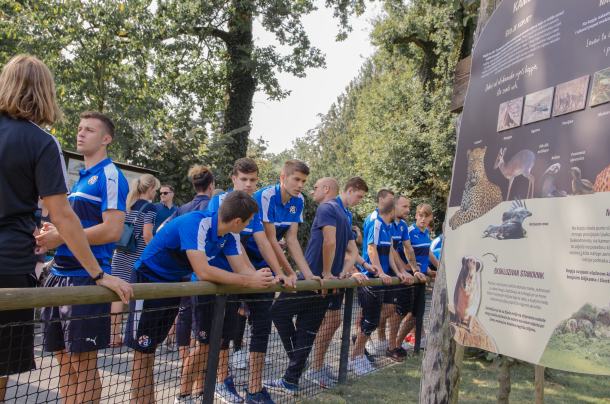 dinamo-zoo-1