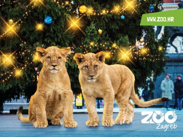 zg-zoo-lavici-1