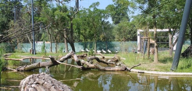 Zagrebački Zoo: Predstavljanje volijere