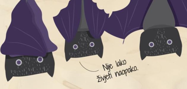 Edukativne šetnje i predstava sa zmajem u Noći šišmiša