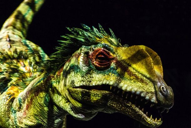 setnja-s-dinosaurusima-2