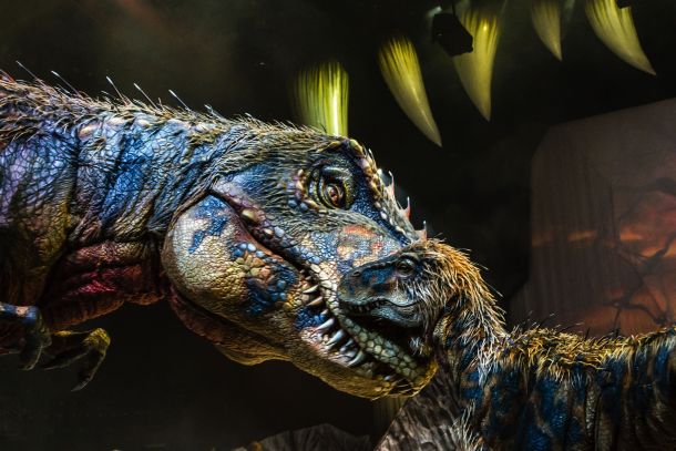 setnja-s-dinosaurusima-3