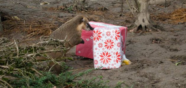 Božićni darovi za stanovnike Zoološkog vrta
