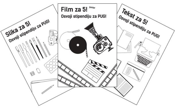 pug-4