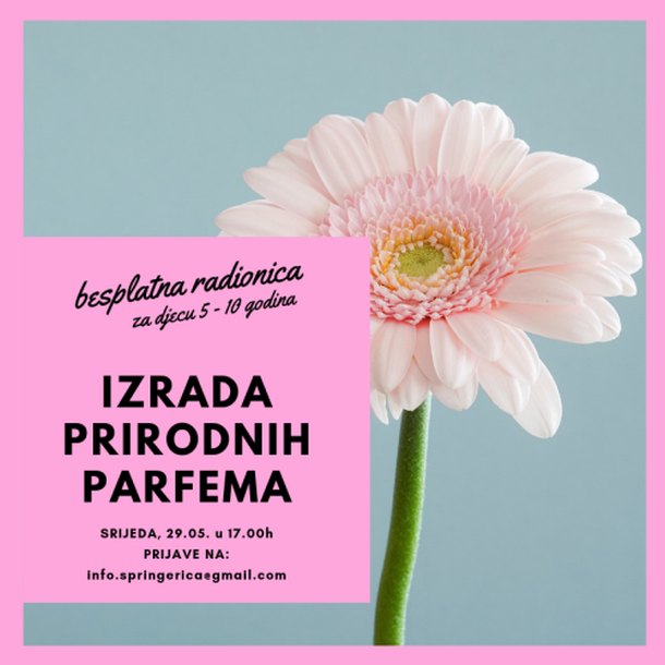 springerica-radionica-3