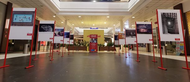 cewe-photo-award-2
