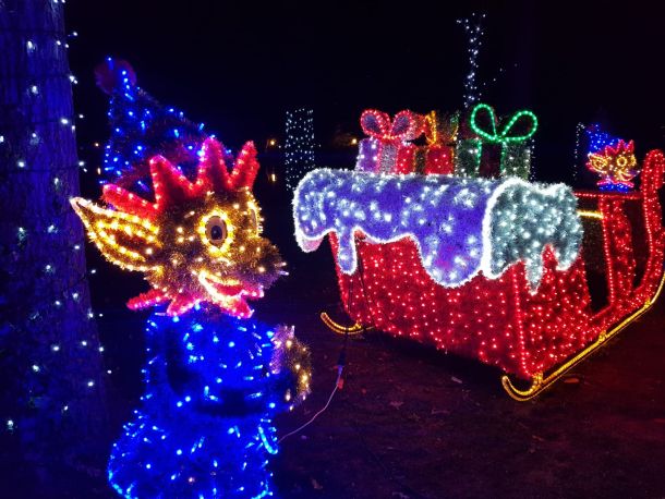 polarni-advent-zoo-1