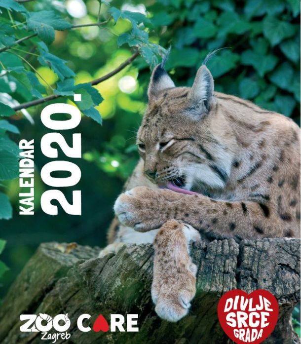 polarni-advent-zoo-4