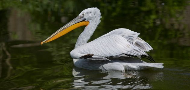 95. rođendan Zoološkog vrta grada Zagreba