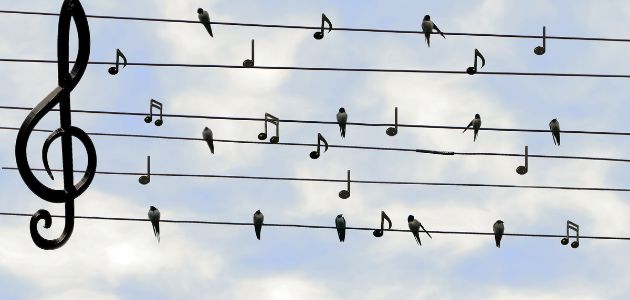 Glazbeno obojani dan u obiteljskom okruženju