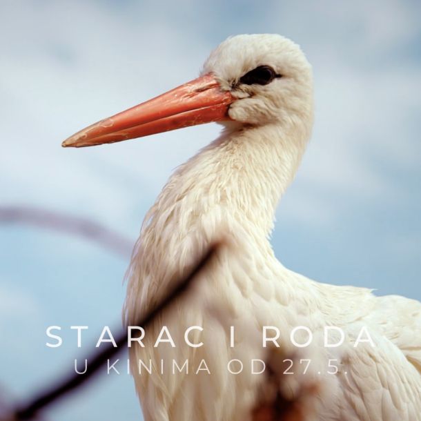 starac-roda-film-1