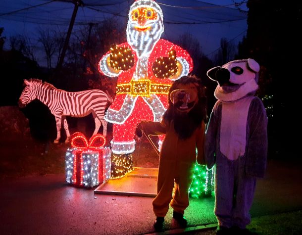 polarni-advent-zoo-1