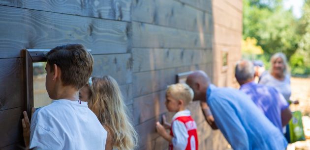 Sjajne vijesti dolaze sa Cresa gdje je uređena bolnica za supove