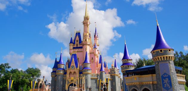 Disneyland Park dvorac disney world