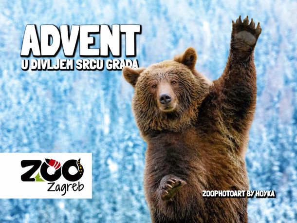 advent-divlje-srce-grada-1