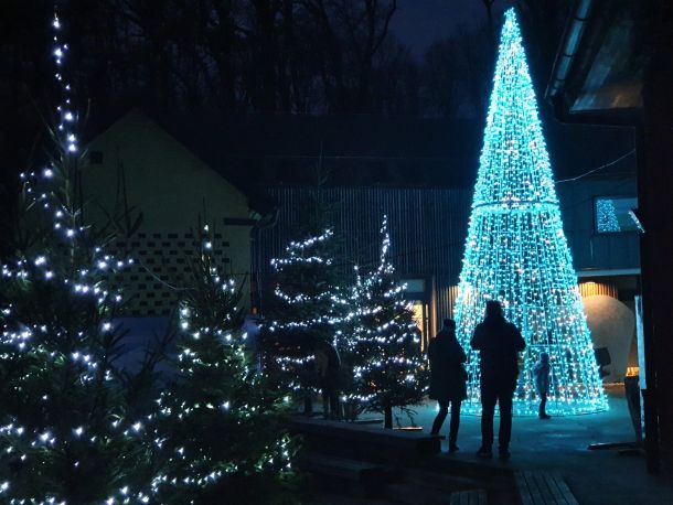 advent-divlje-srce-grada-5