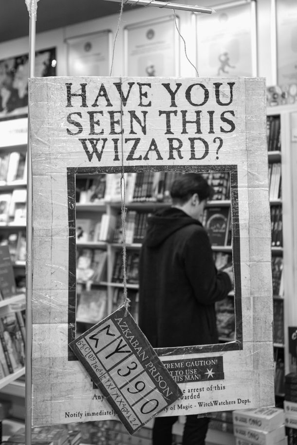 harry-potter-hocu-knjigu-2