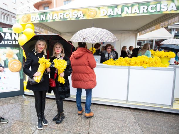 dan-narcisa-23-5