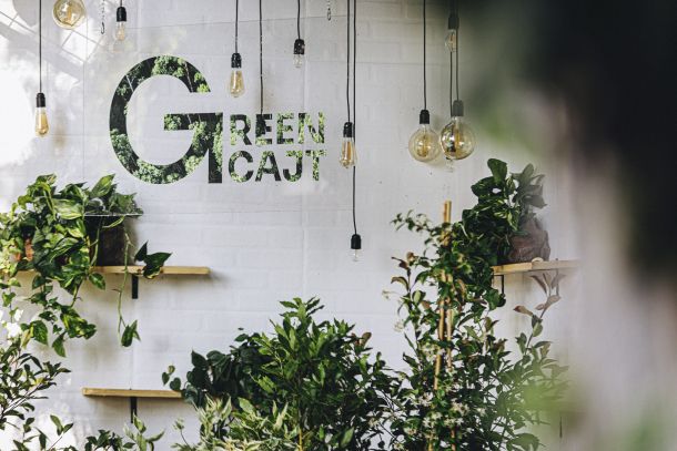 greencajt-predavanja-1