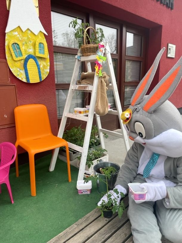 radionica zvijezda zekoeko zoo 2023