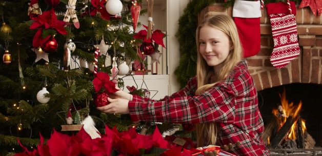 Božićna zvijezda blagdanski ukras doma – kako je njegovati