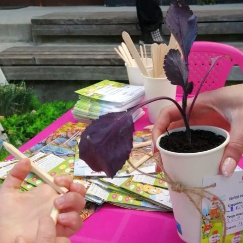 Djeca u radionci zasadi mini vrt u svom domu zekoeko 2024