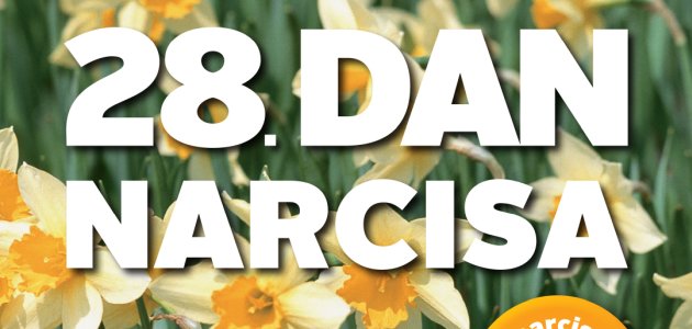 Dan narcisa – javnozdravstvena akcija svjesnosti o prevenciji raka dojke