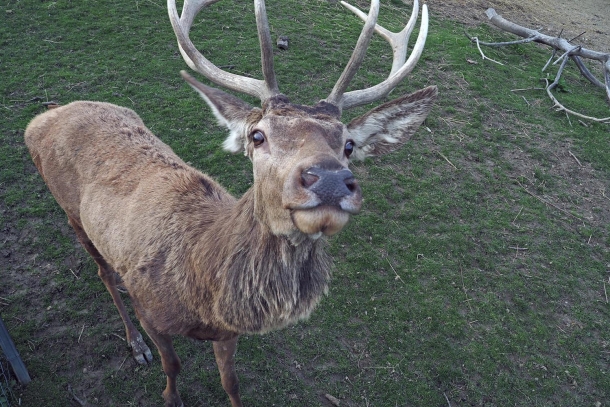 djeca-posjeta-medimurje-4