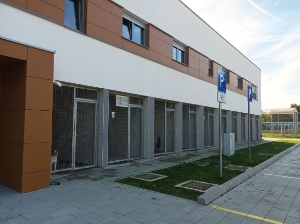 skloniste-za-nezbrinute-zivotinje-1