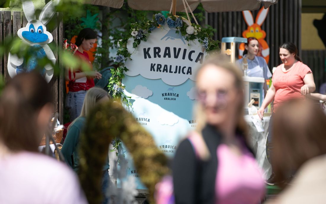 ZEKOEKO belje kravica kraljica 2025
