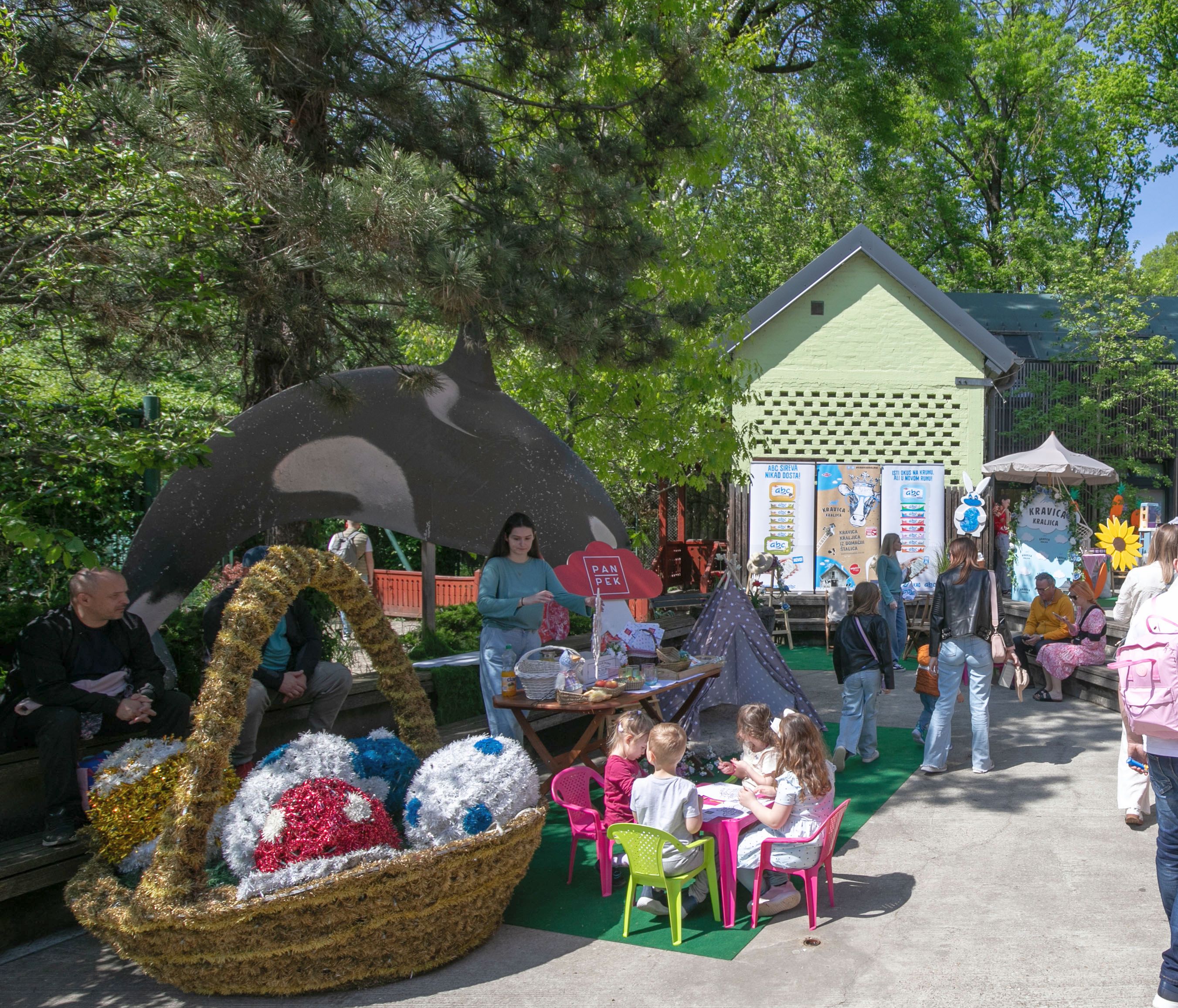 ZEKOEKO belje pan pek 2025