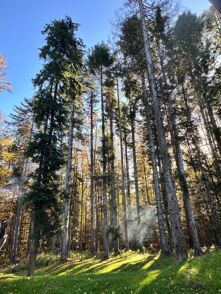 izlet bosna suma staze planinarenje smjestaj