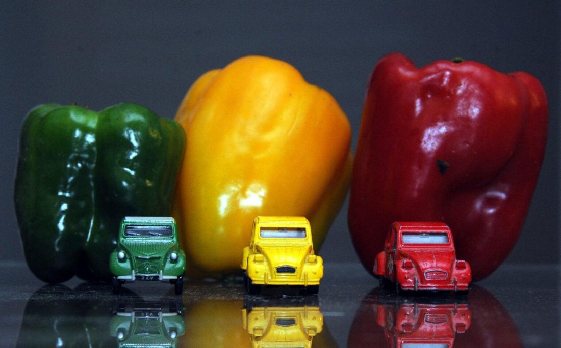 family-mall-model-autica-2