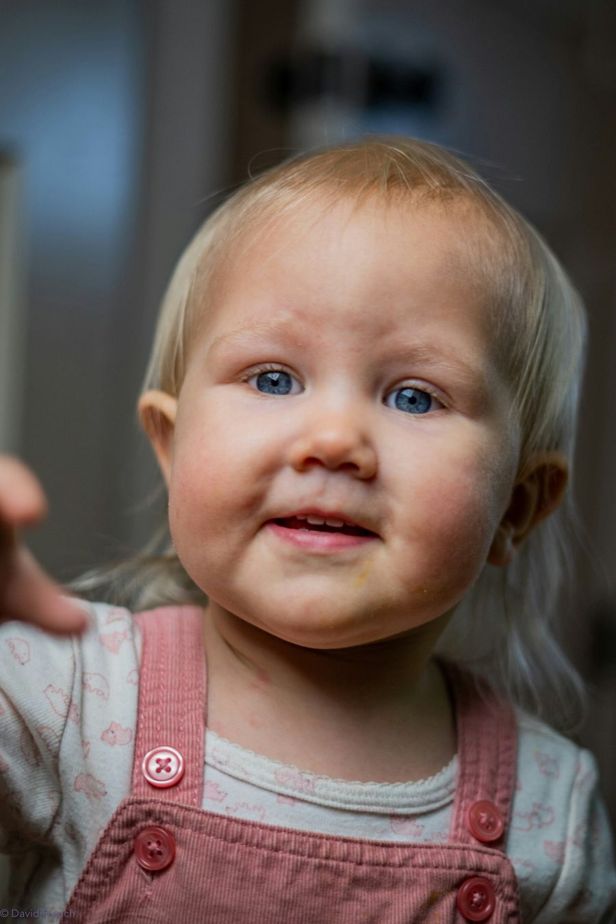 mineral cink zink kod djece prehrana