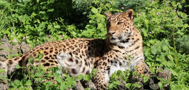 U Zoološkom vrtu školarce tijekom uskrsnih praznika očekuje Zoo avantura