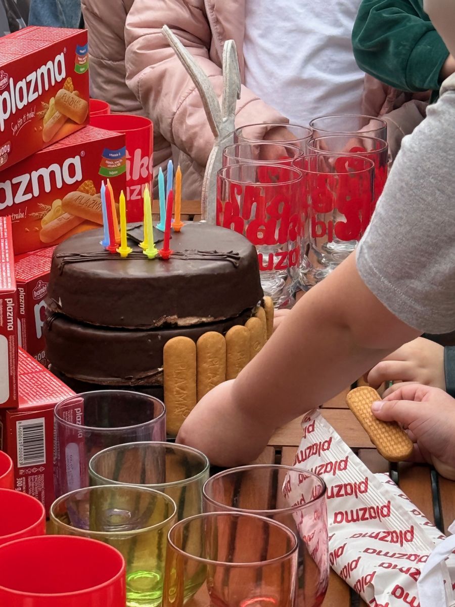 plasma ekozeko torta