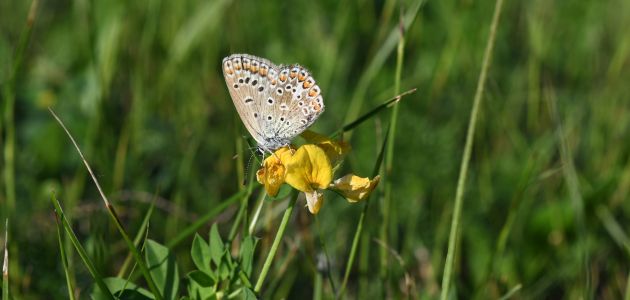 Edukacija i zabava za cijelu obitelj: Velika rođendanska subota u Zoološkom vrtu